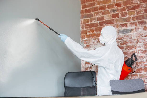 Best Mold Removal for HVAC Installations  in Byron, GA