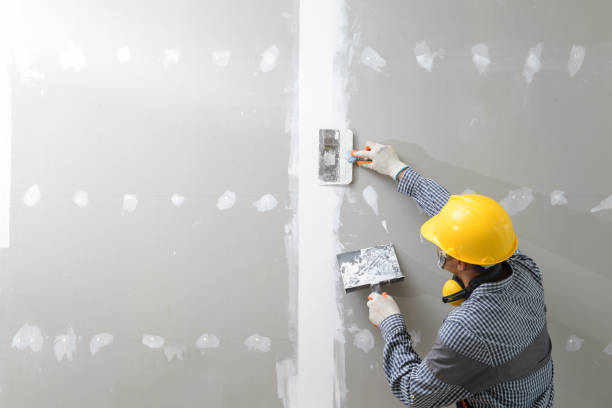 Best Basement Mold Removal  in Byron, GA