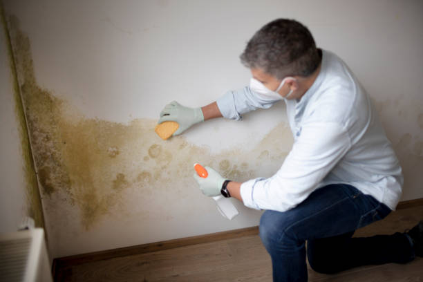 Dehumidification Services in Byron, GA